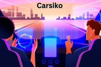 a person in a car carsiko